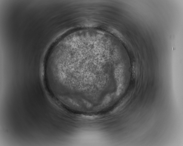 X0000089690726200707201719