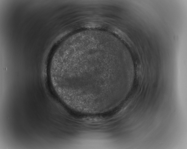 X0000089690727200707201719