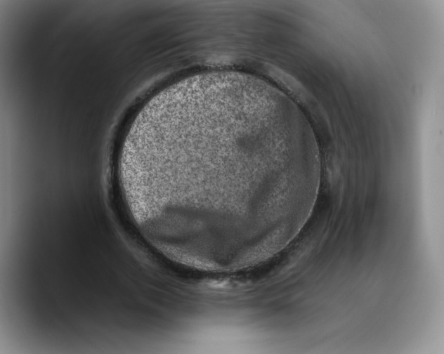 X0000089690728200707201719