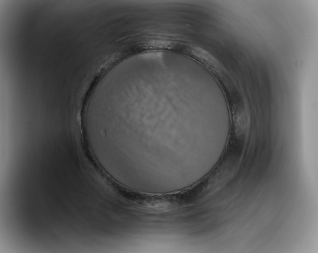 X0000089690729200707201719