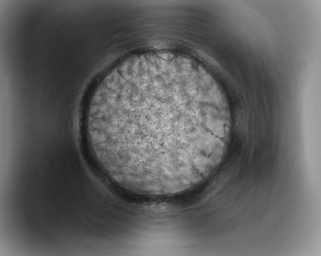 X0000089690730200707201719