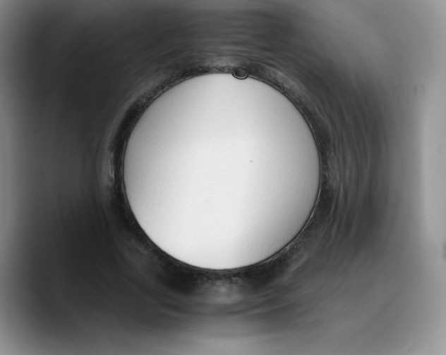 X0000089690731200707201719