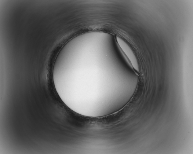 X0000089690732200707201719