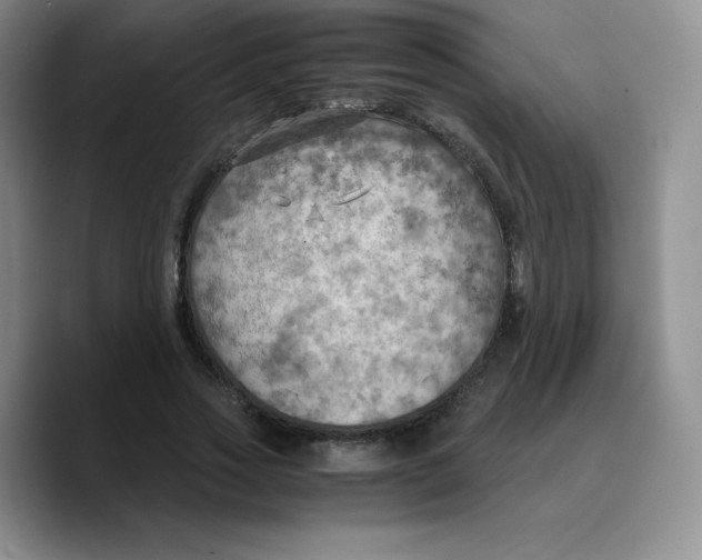 X0000089690733200707201719