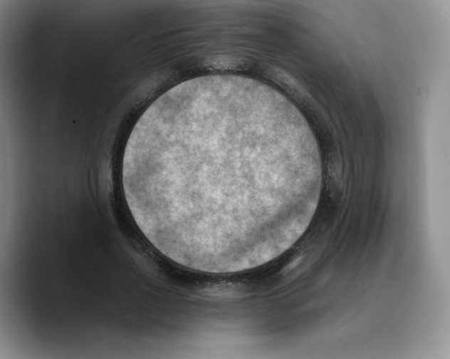 X0000089690734200707201719