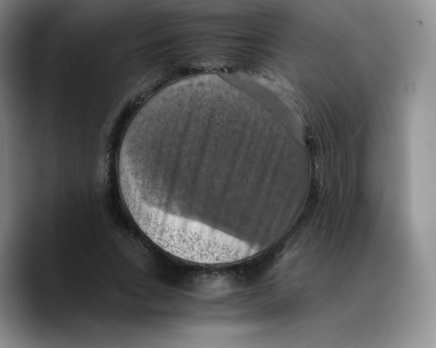 X0000089690735200707201719