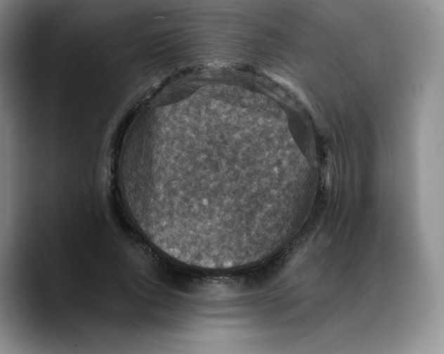 X0000089690736200707201719