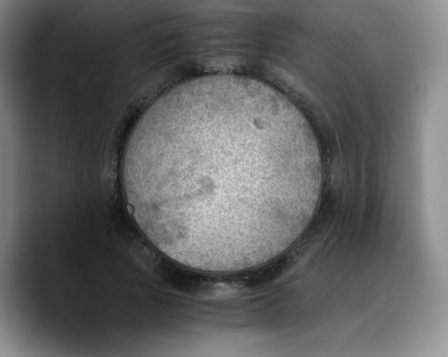 X0000089690737200707201719