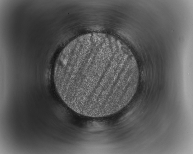 X0000089690739200707201720