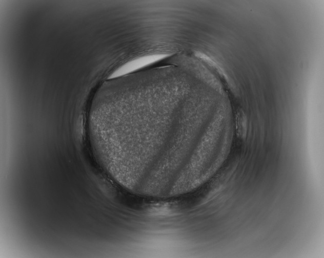 X0000089690740200707201720