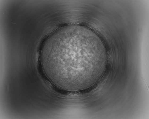 X0000089690742200707201720