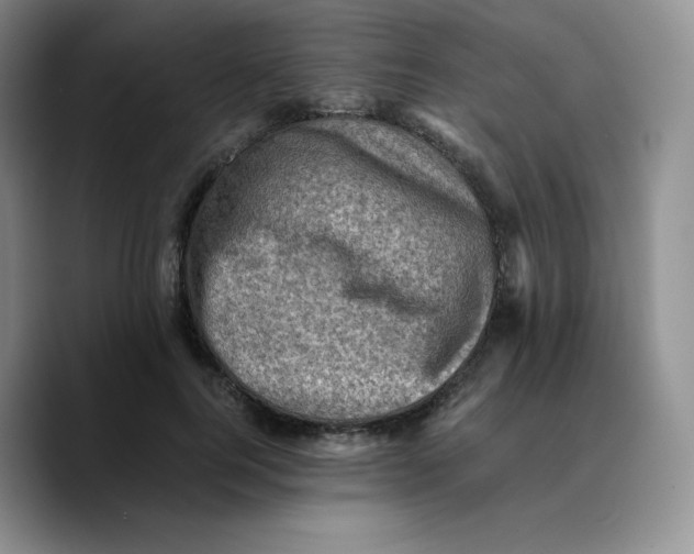 X0000089690744200707201720
