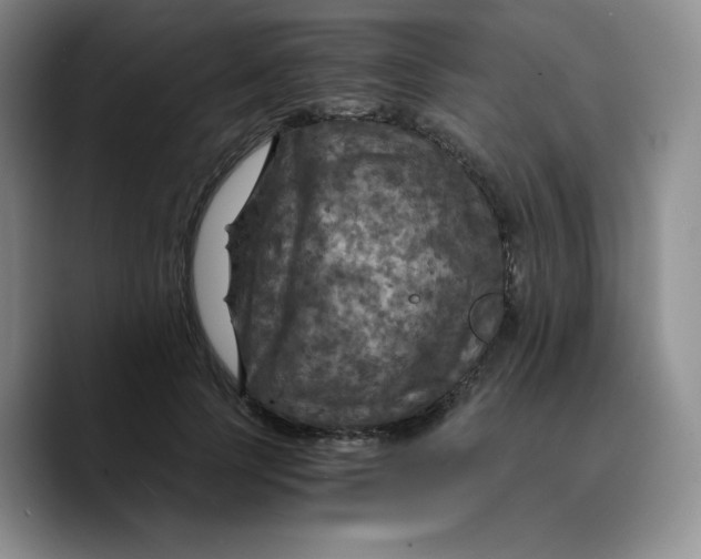 X0000089690745200707201720