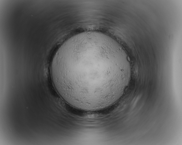 X0000089690746200707201720