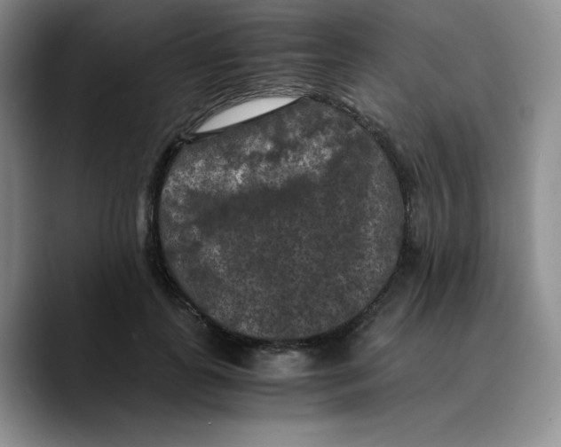 X0000089690747200707201720