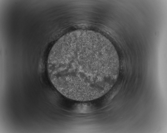 X0000089690751200707201720