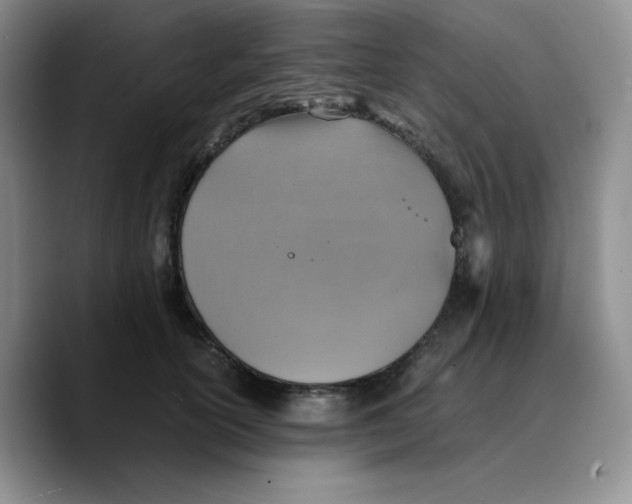 X0000089690754200707201720