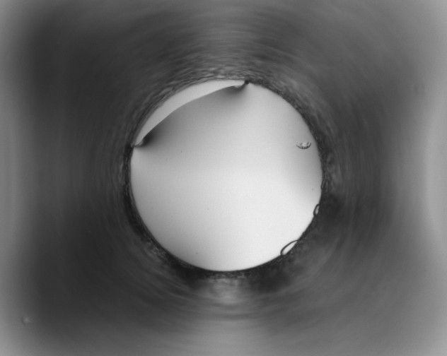 X0000089690756200707201720