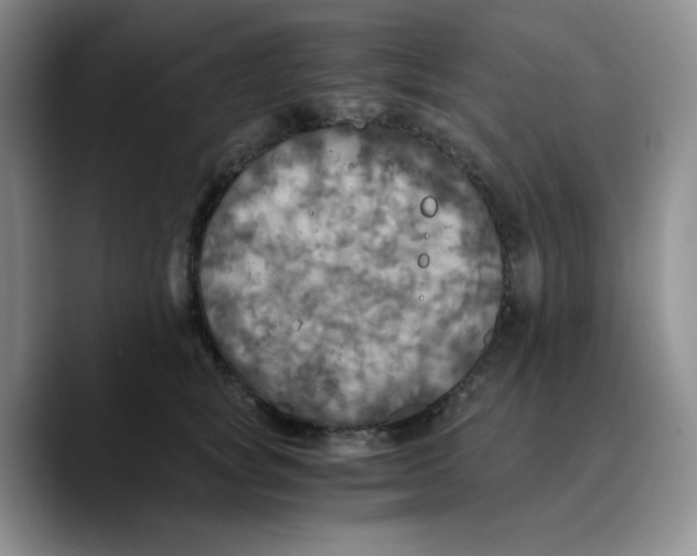 X0000089690757200707201720