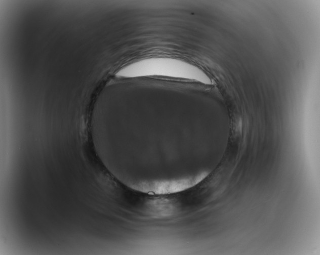 X0000089690759200707201720