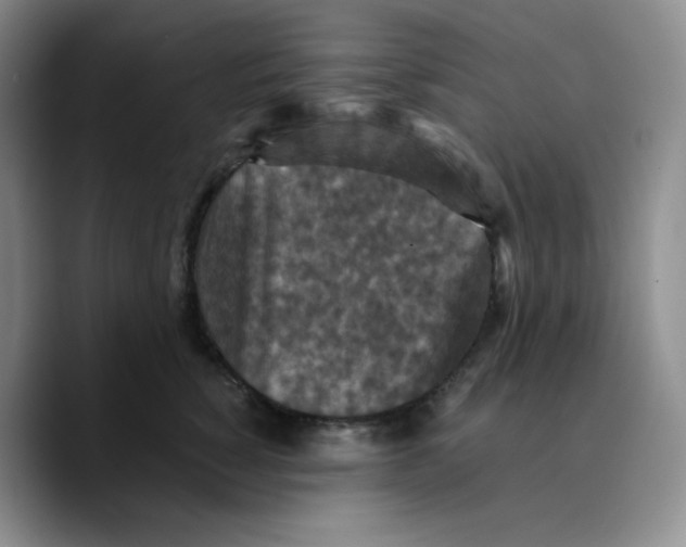 X0000089690760200707201720