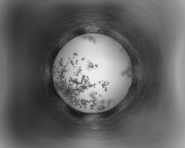 X0000089690761200707201720