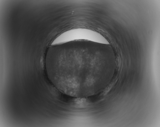 X0000089690762200707201720