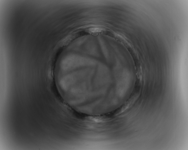 X0000089690763200707201720