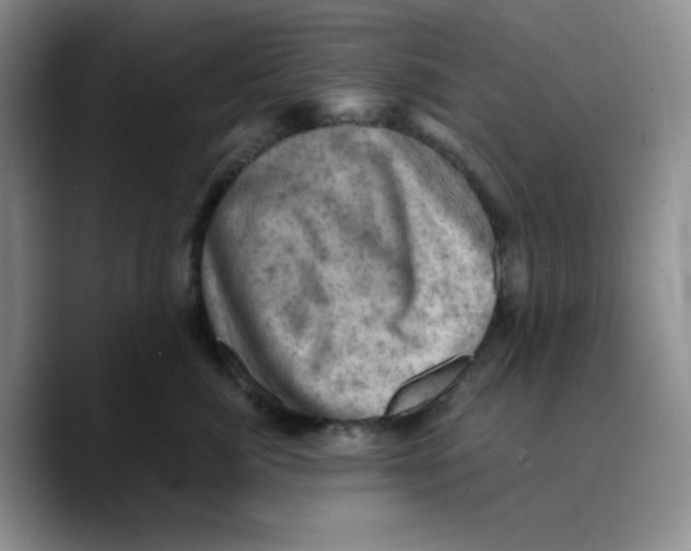 X0000089690764200707201720