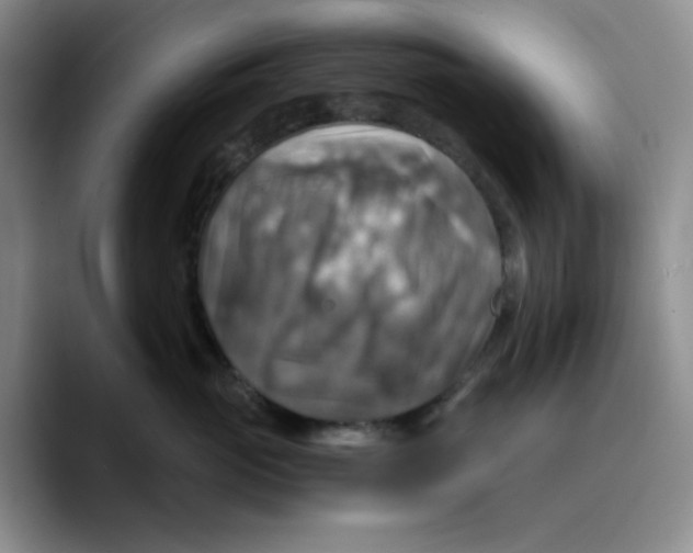 X0000089690765200707201720