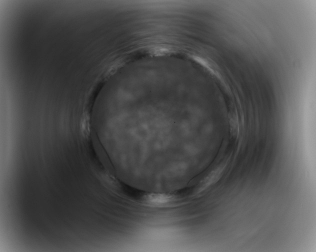 X0000089690766200707201720