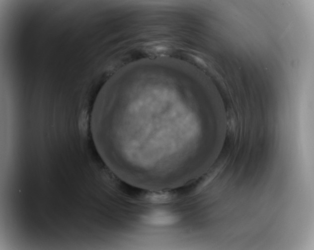 X0000089690767200707201720