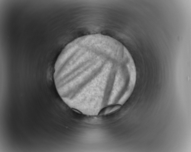 X0000089690768200707201720