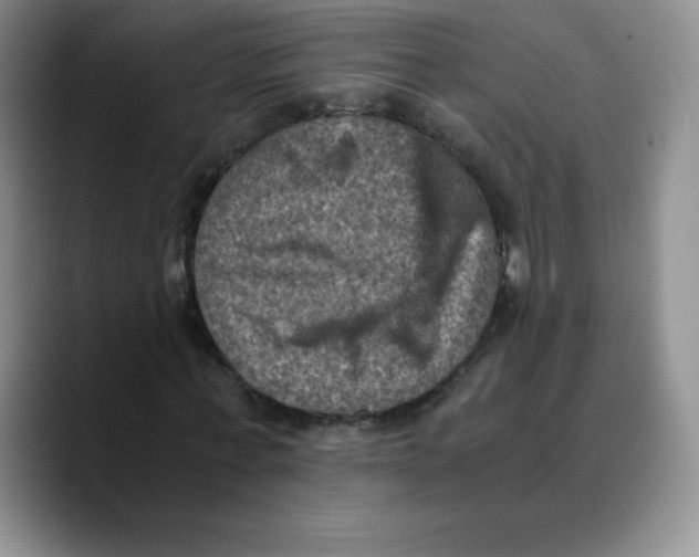 X0000089690771200707201719