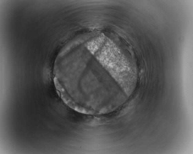 X0000089690772200707201719
