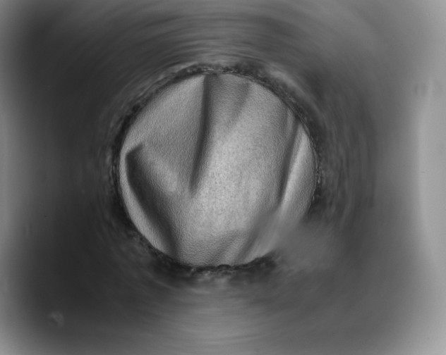 X0000089690773200707201719