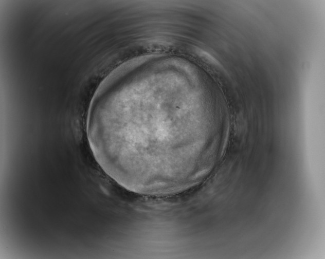 X0000089690774200707201719
