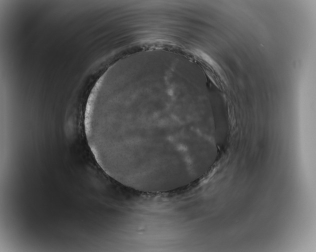 X0000089690775200707201719
