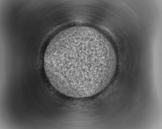 X0000089690776200707201719