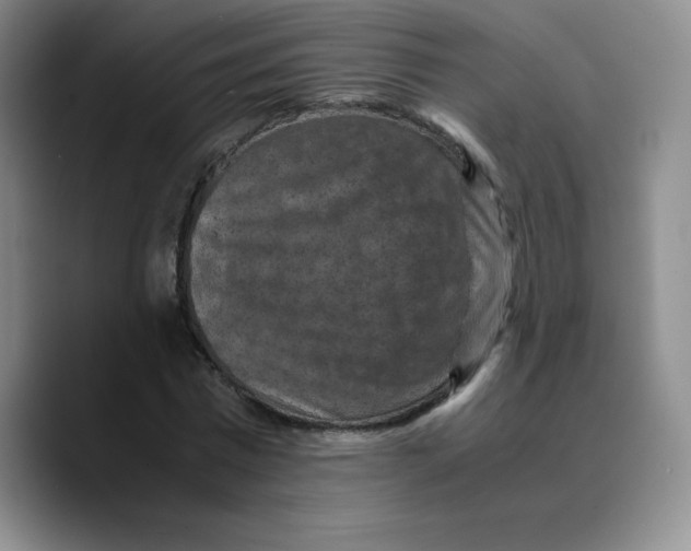 X0000089690777200707201719