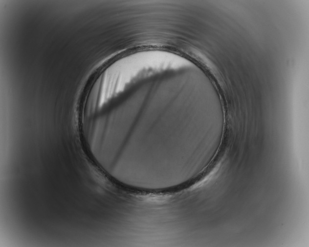 X0000089690779200707201719