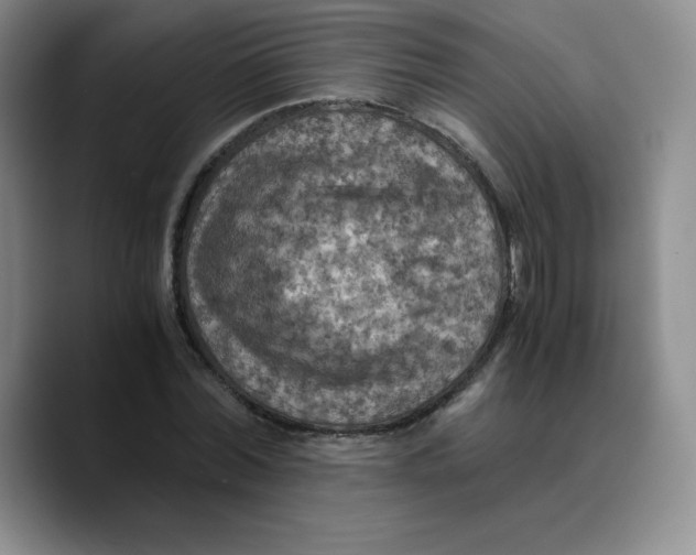 X0000089690780200707201719
