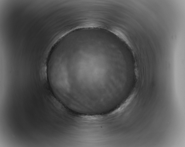 X0000089690781200707201719