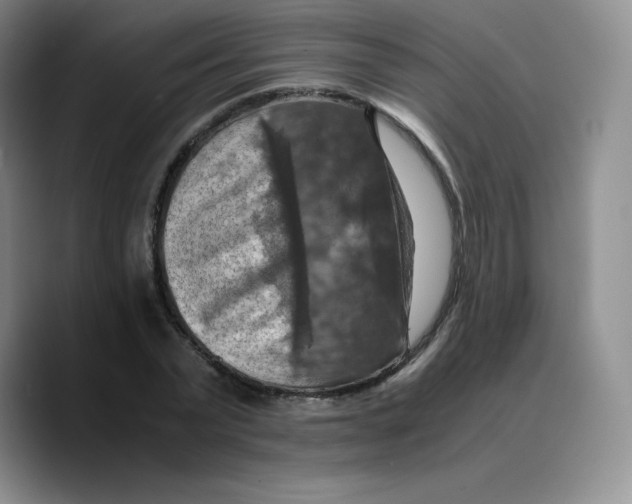X0000089690783200707201719