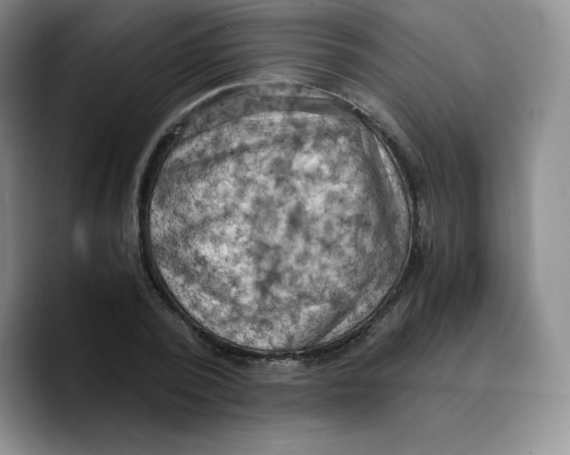 X0000089690784200707201719