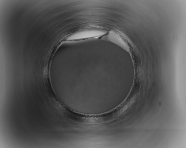 X0000089690785200707201719
