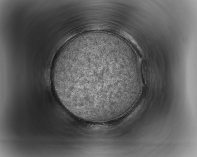 X0000089690786200707201719