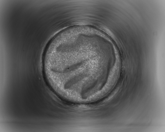 X0000089690787200707201719