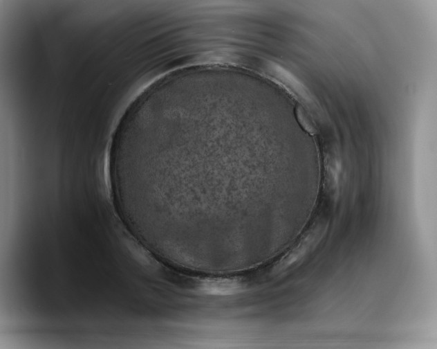 X0000089690788200707201719