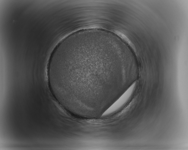 X0000089690789200707201719